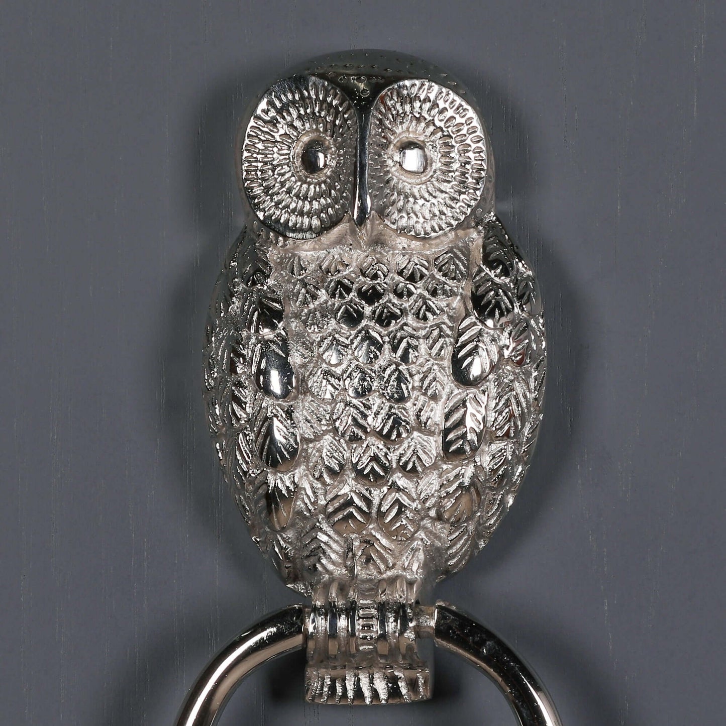Chrome Owl Door Knocker