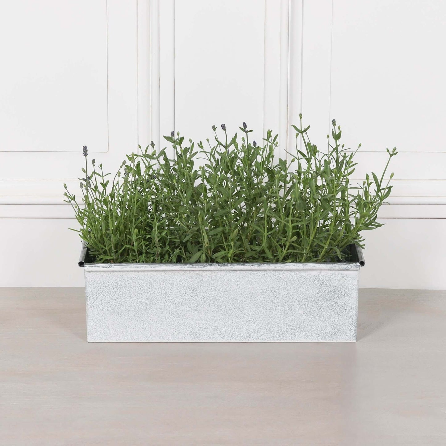 Roll Top White Wash Metal Planter - 44cm