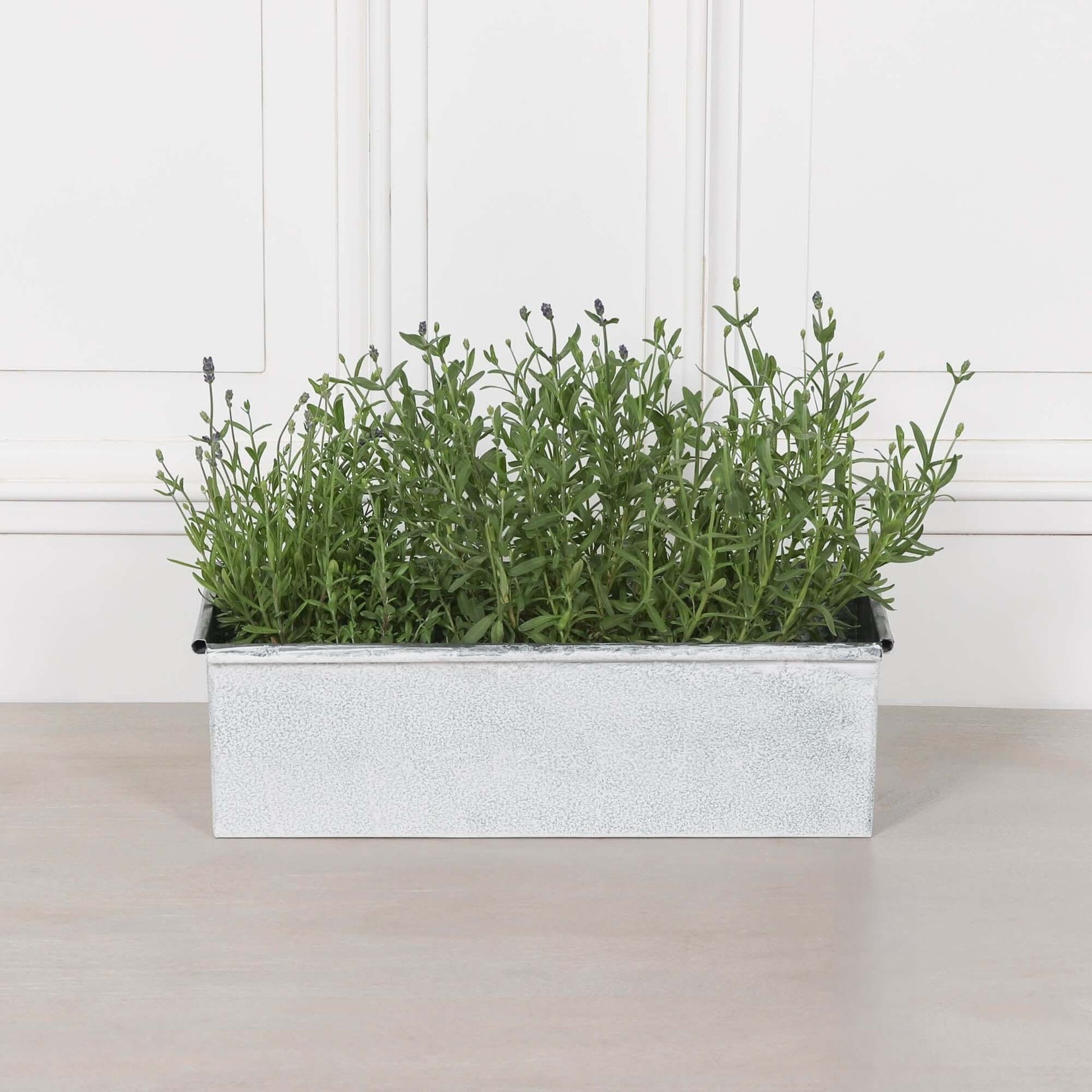 White Wash Metal Window Box Planter filled with greenery on a light surface, adding rustic charm to any space.