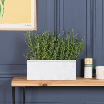 Roll Top White Wash Metal Planter - 34cm