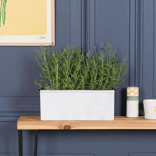 Roll Top White Wash Metal Planter - 34cm