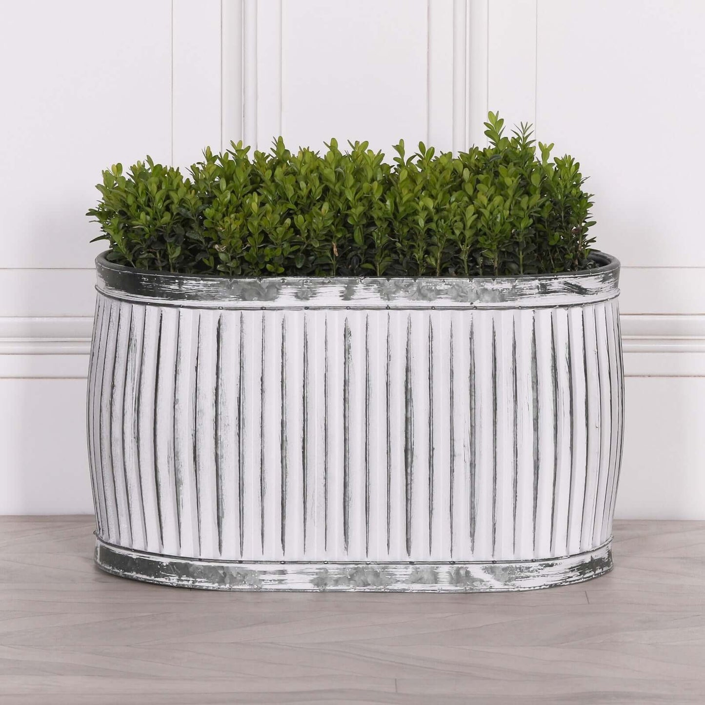 Dolly Tub Oval Metal Planter - Large