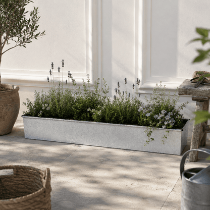 Garden planter trough bed with plants on a patio